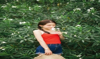 南京服务最好商务ktv夜场体验推荐